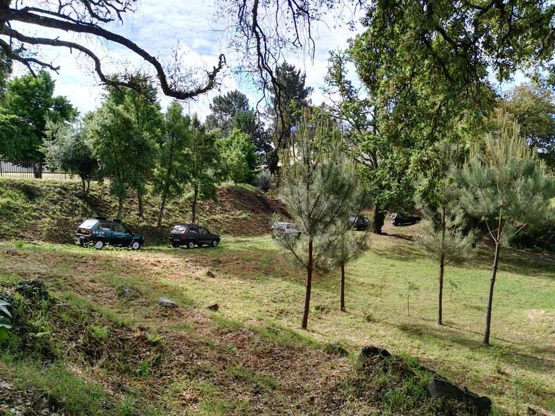 IMG 20180526 095729