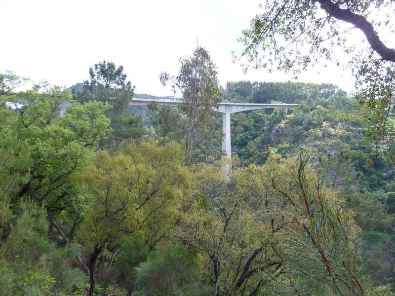 P1190543