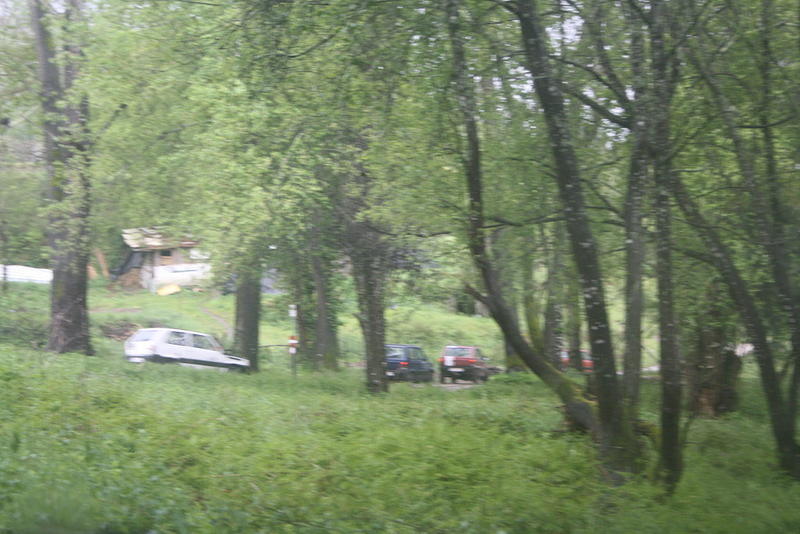 IMG 0719 Easy-Resize.com