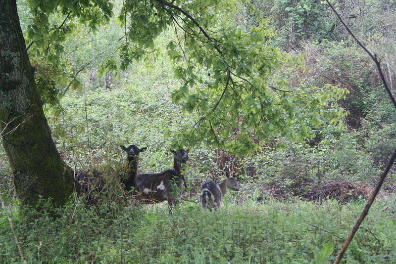 IMG 0728 Easy-Resize.com