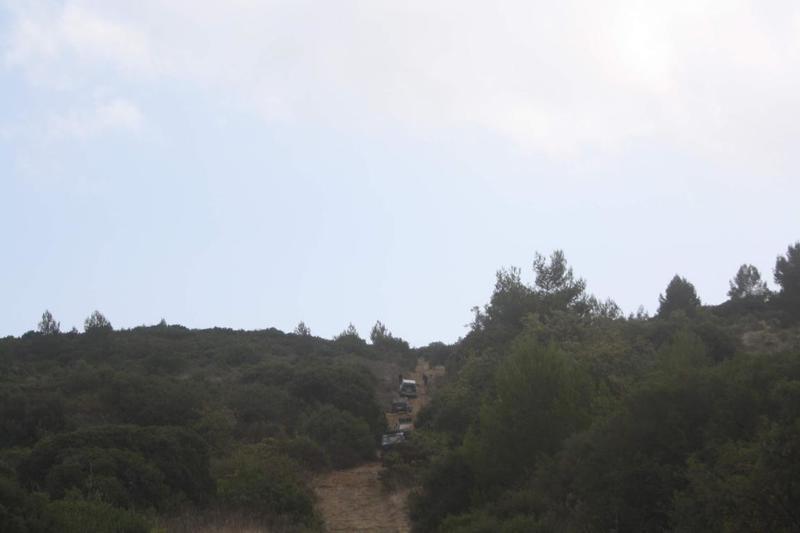 IMG 1355