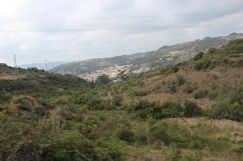 IMG 6759