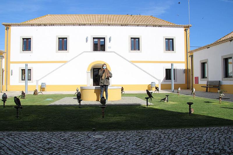 mini IMG 0748