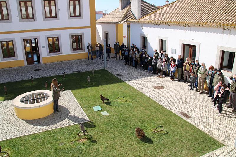 mini IMG 0755