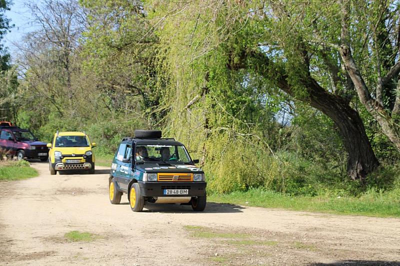 mini IMG 0773