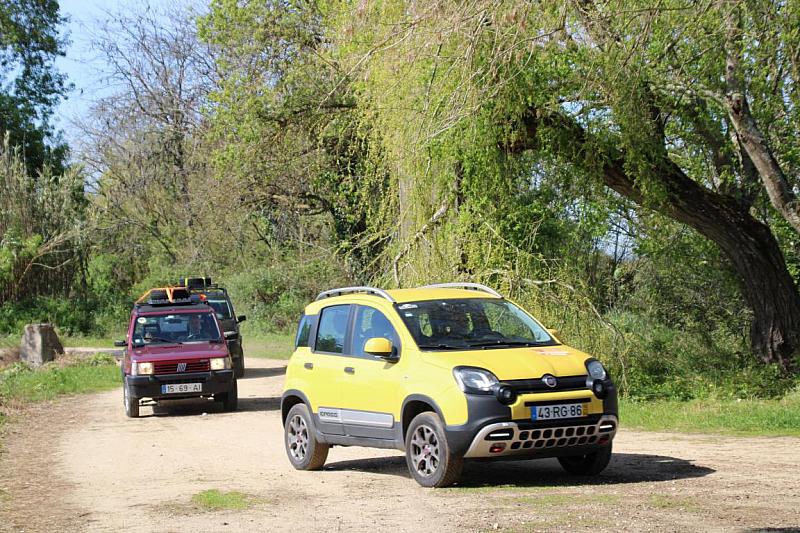 mini IMG 0774