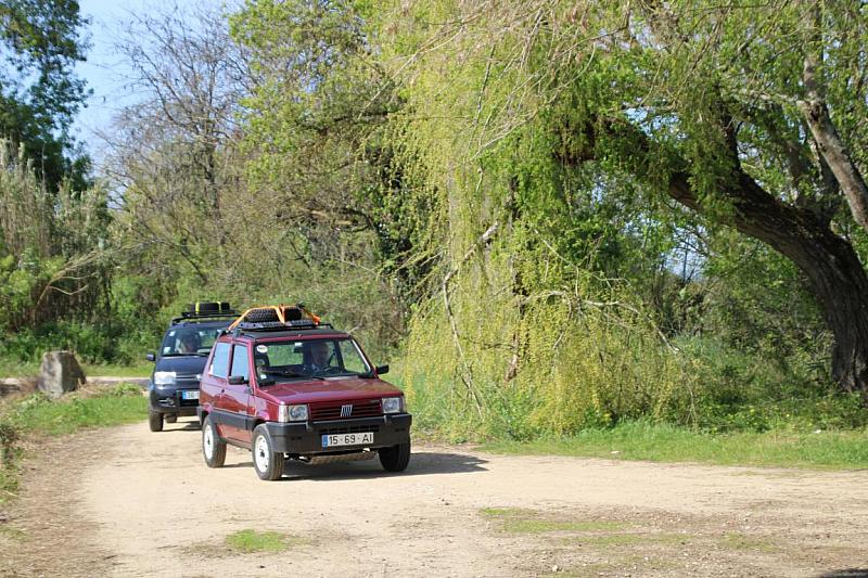 mini IMG 0775