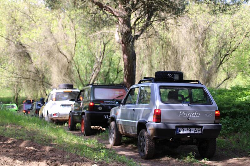 mini IMG 0801