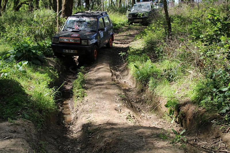 mini IMG 0808