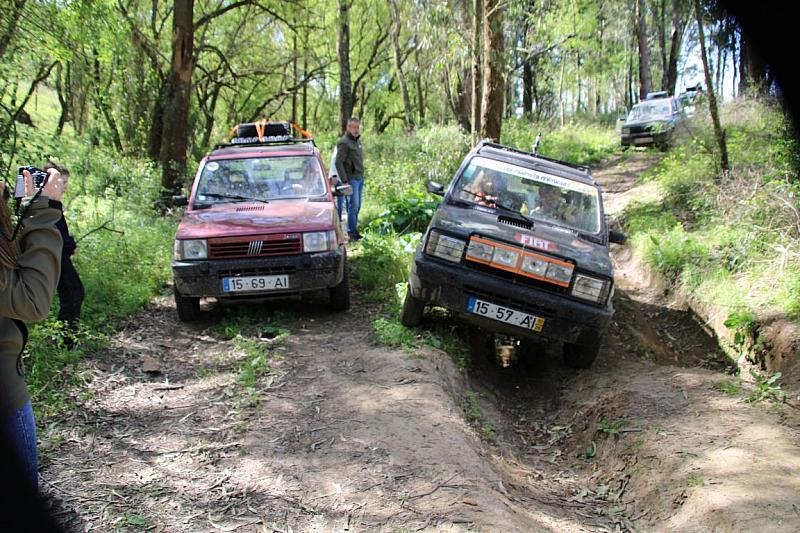 mini IMG 0810