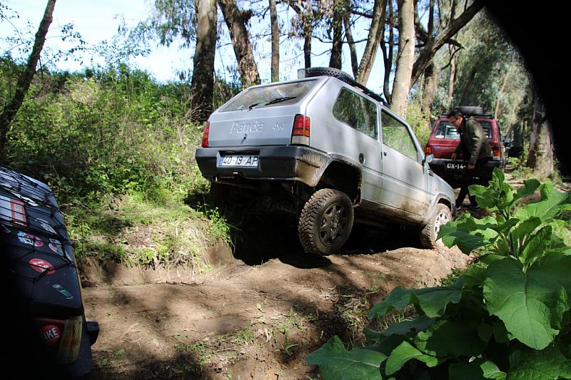 mini IMG 0816