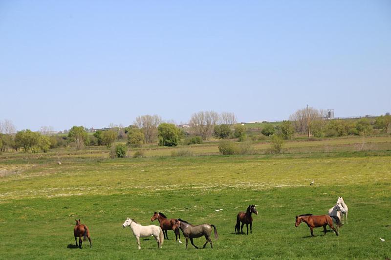 mini IMG 0828