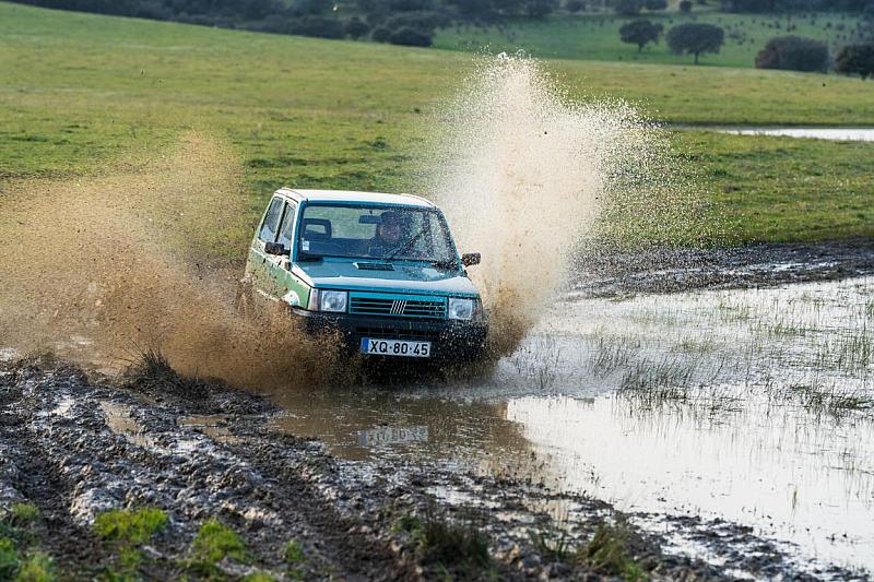 Panda4x4-Sousel-20230218-NSL3039