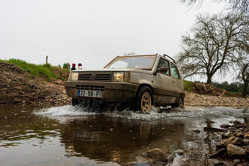Panda4x4-Sousel-20230219-NSL3196