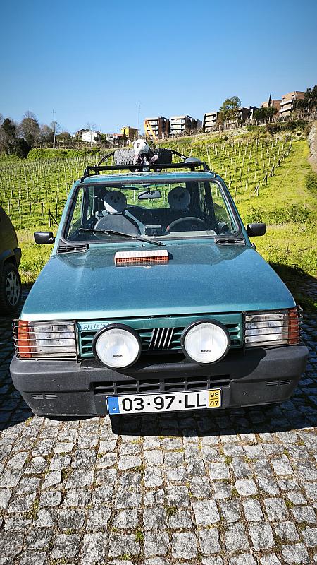 smss78 (18)