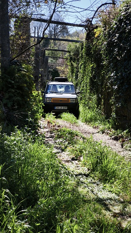 smss78 (40)