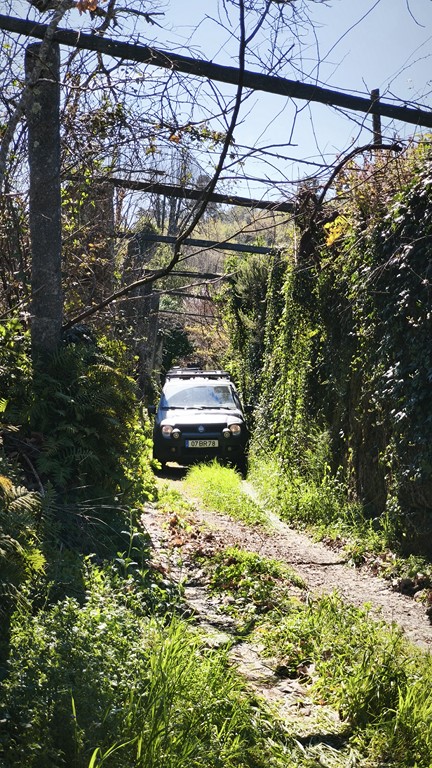 smss78 (41)