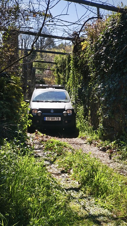 smss78 (42)
