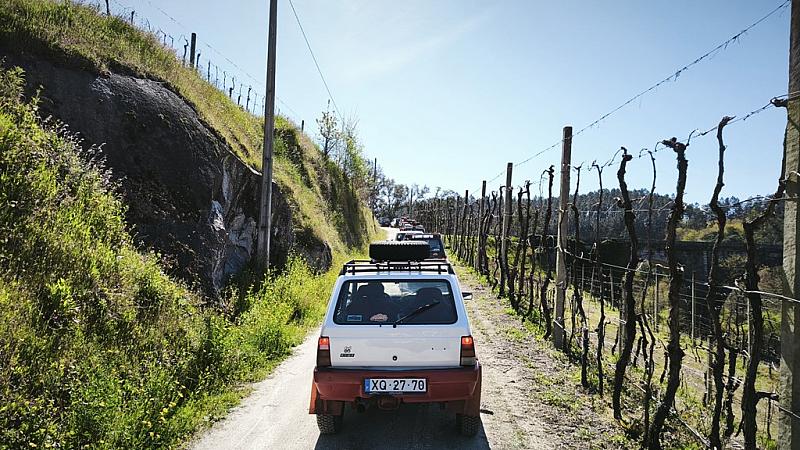 smss78 (53)
