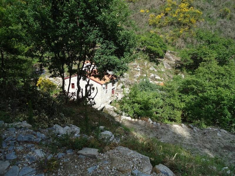 DSC03446 (Pinheiro)