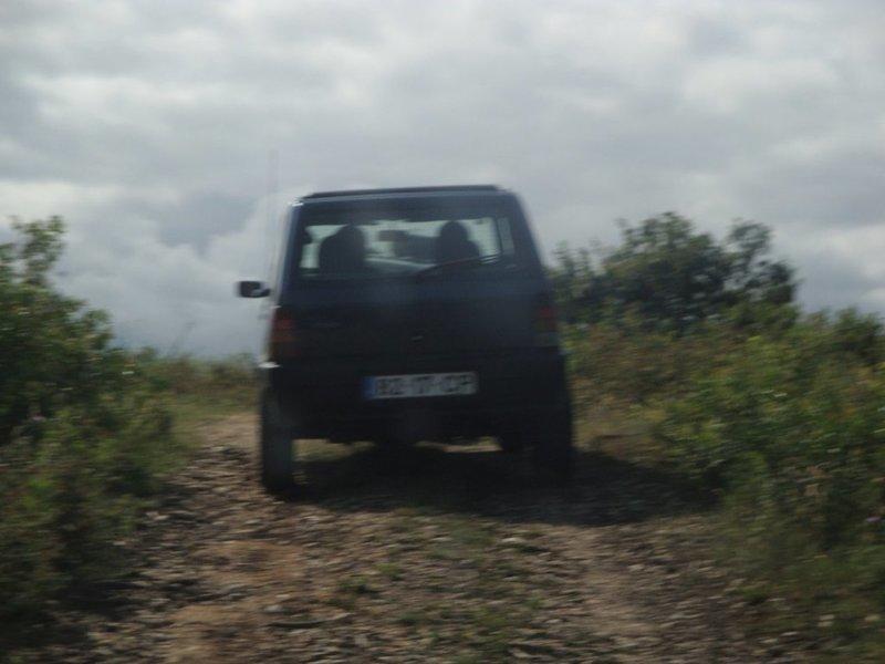 DSC03745