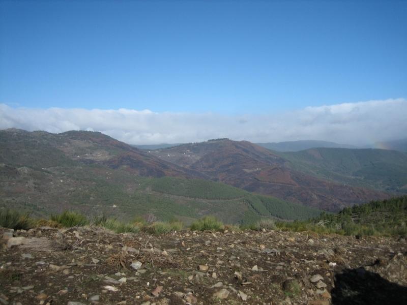 IMG_7203.JPG