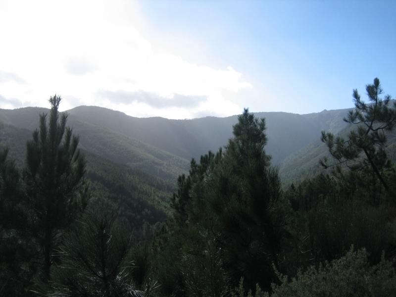 IMG_7219.JPG