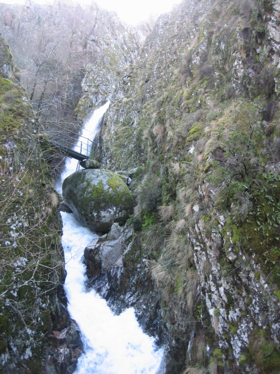 IMG_7231.JPG