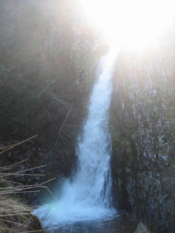 IMG_7232.JPG