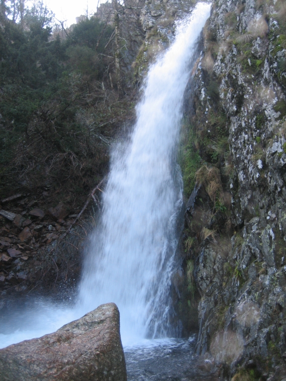 IMG_7242.JPG