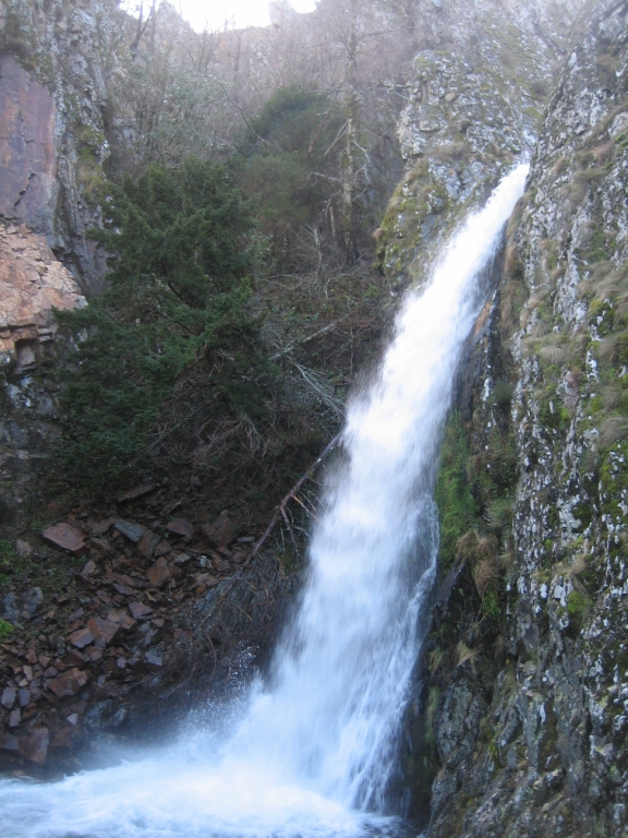 IMG_7244.JPG