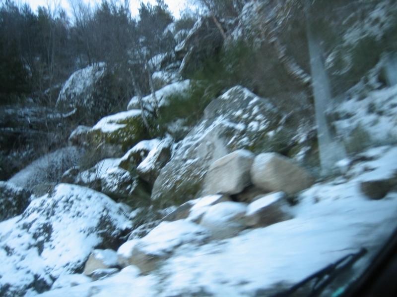 IMG_7265.JPG