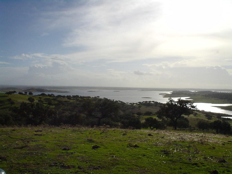 DSC02379