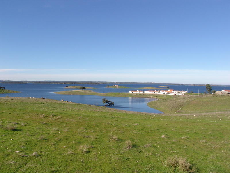 DSC05993
