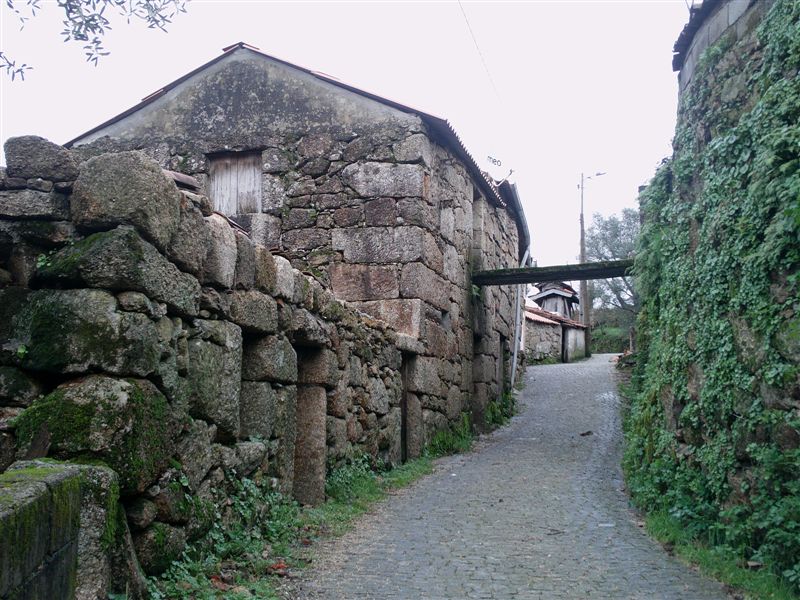 IMAG0101