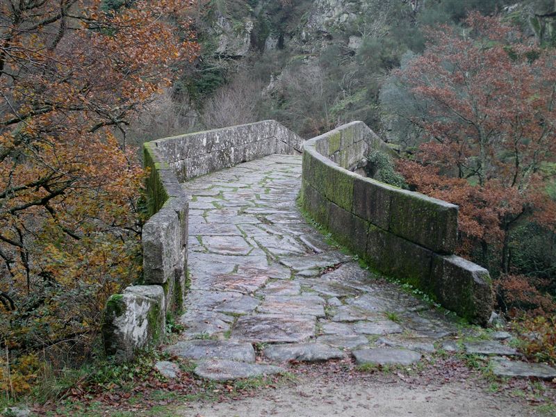 IMAG0117