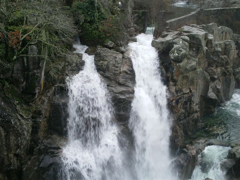 IMAG0118