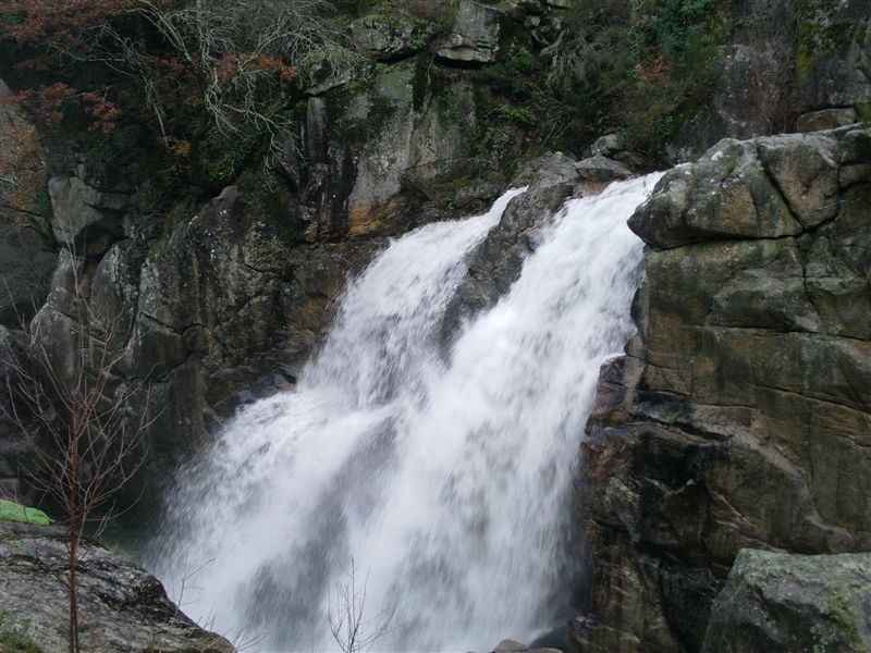 IMAG0126