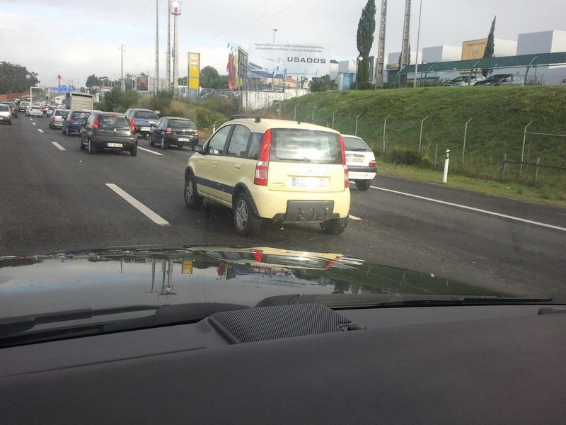 2010-11-10 09.01.23.jpg