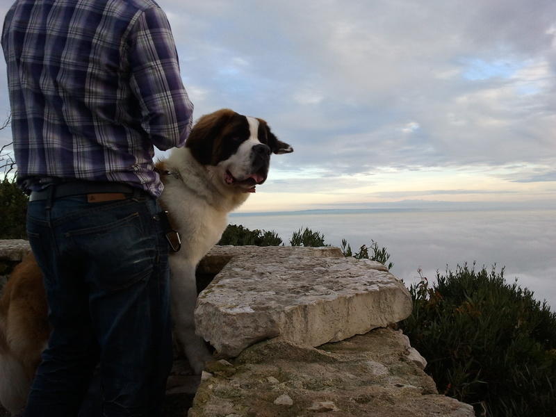 2011-01-02 16.36.39.jpg