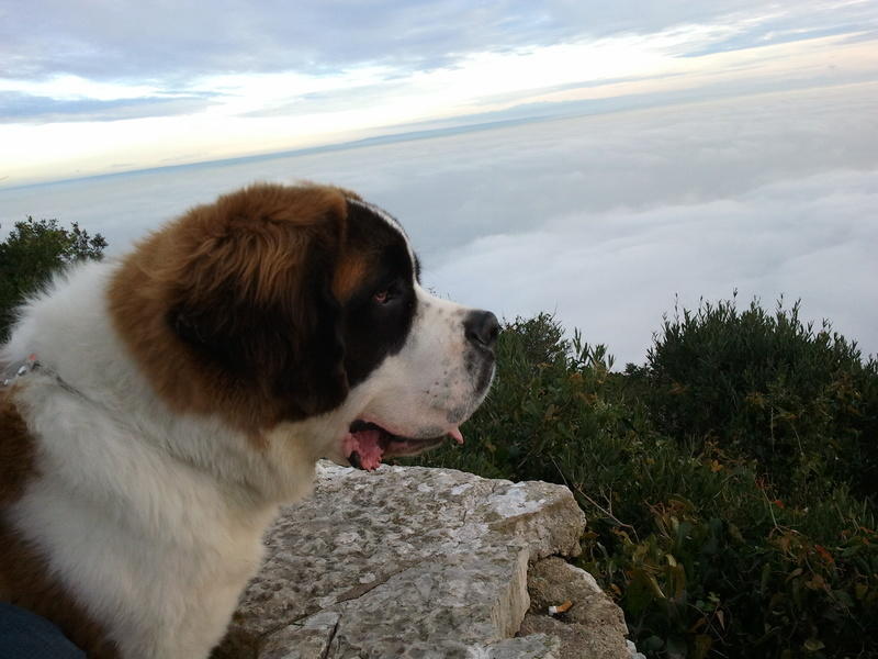 2011-01-02 16.37.21.jpg
