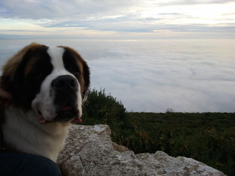 2011-01-02 16.37.25.jpg