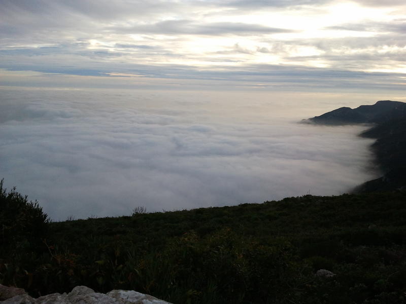 2011-01-02 16.37.37.jpg