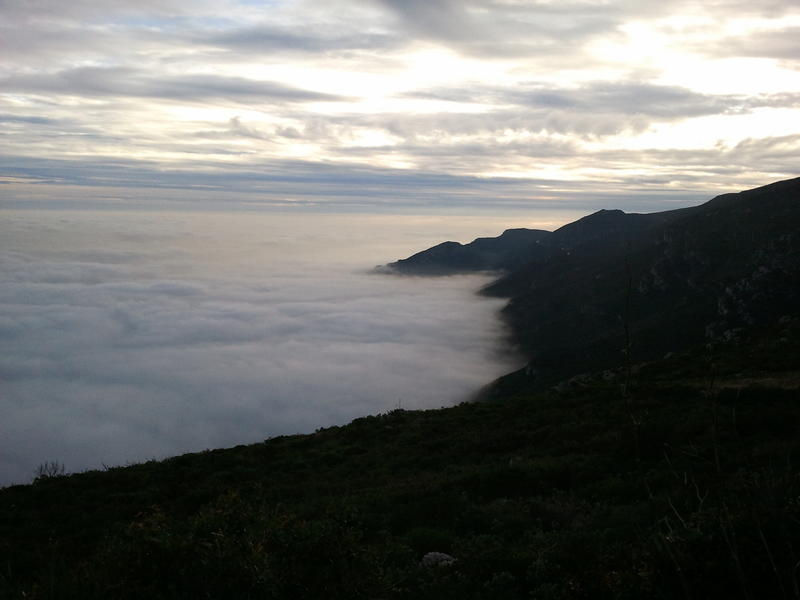 2011-01-02 16.37.40.jpg