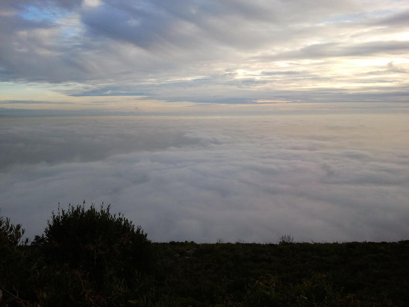 2011-01-02 16.37.44.jpg