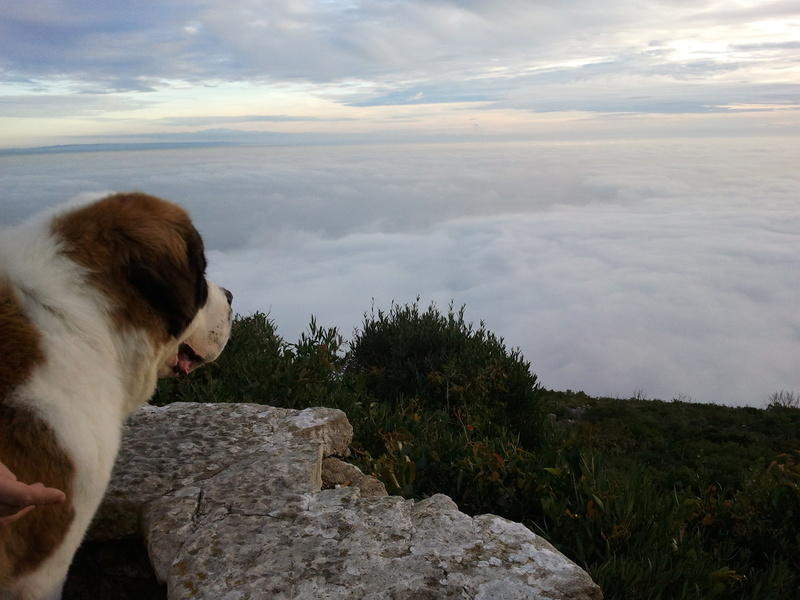 2011-01-02 16.38.44.jpg