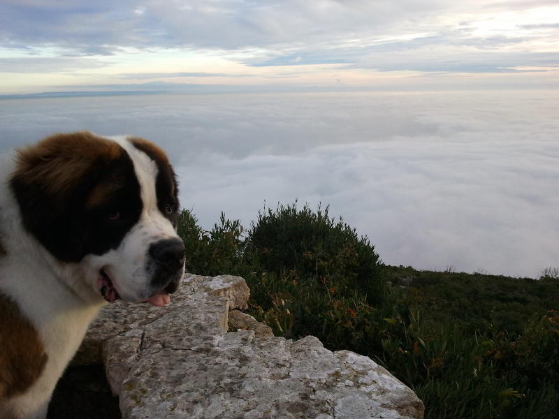 2011-01-02 16.38.48.jpg