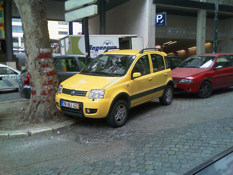 IMAG0002.jpg