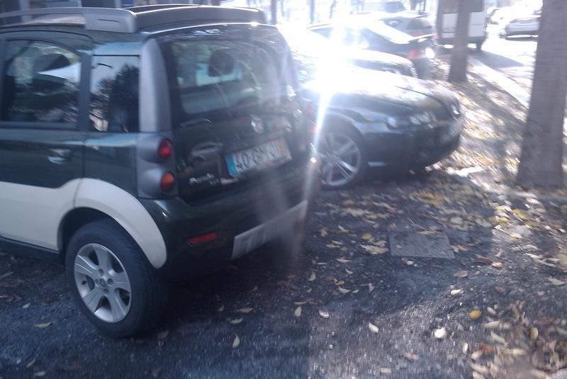 IMAG0042.jpg
