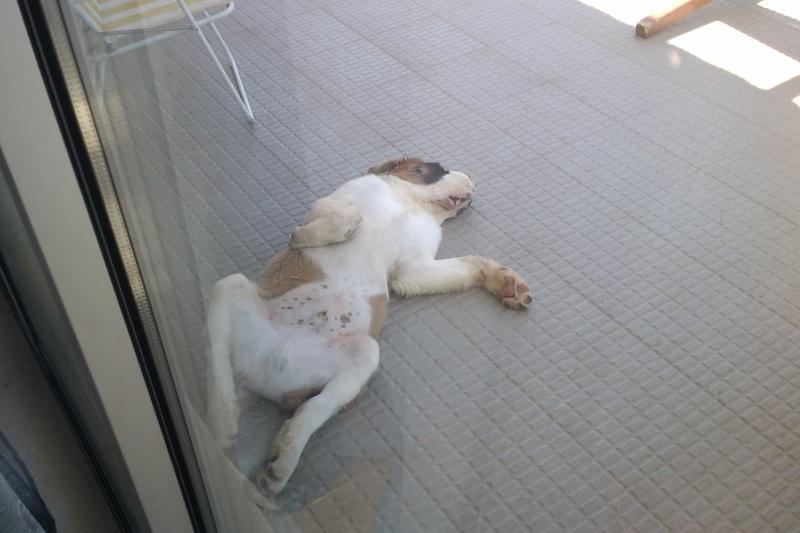 IMAG0052.jpg